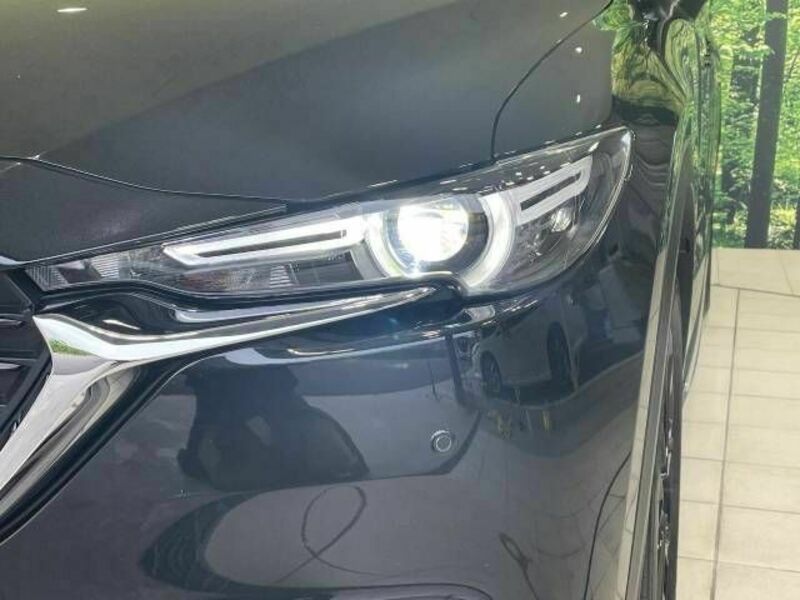 CX-8-11