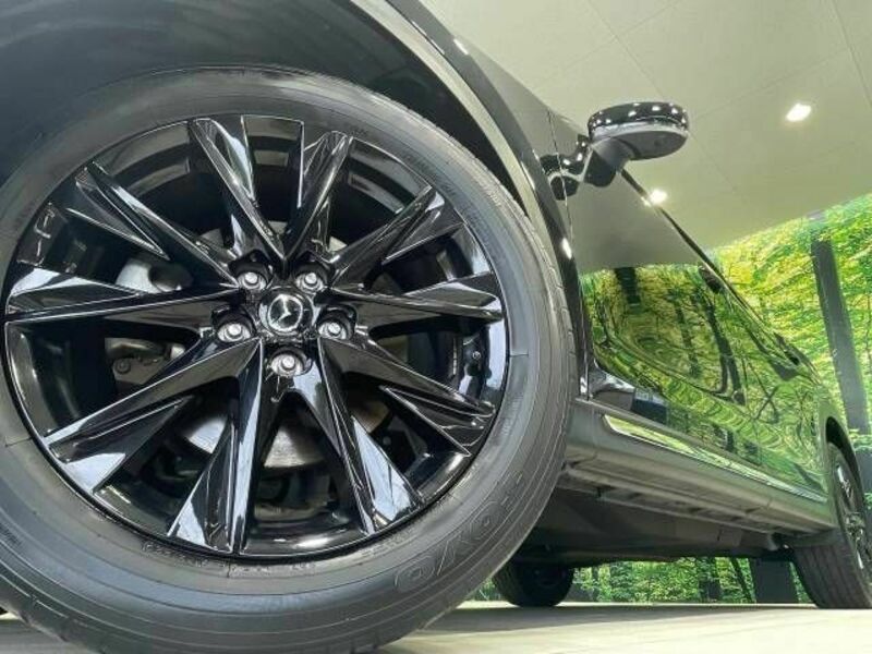 CX-8-12