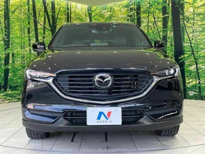 CX-8-13