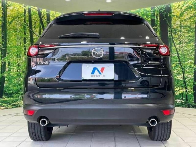 CX-8-14