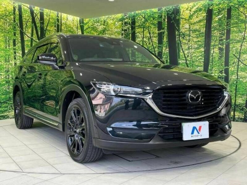CX-8-15