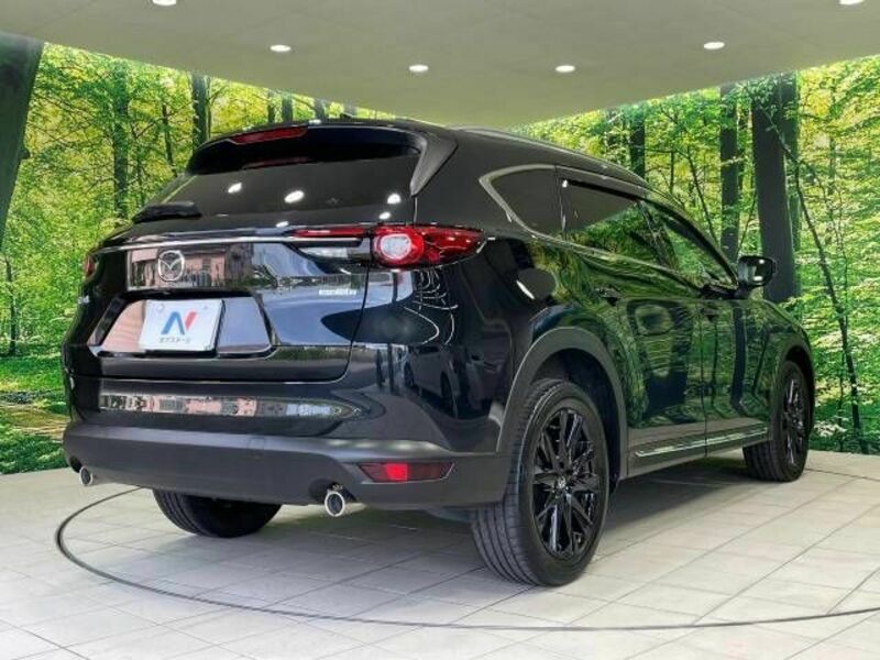 CX-8-16