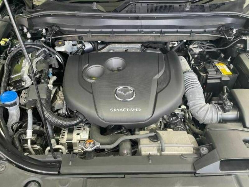 CX-8-17