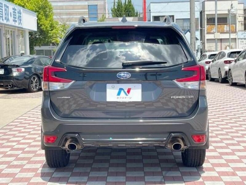 FORESTER