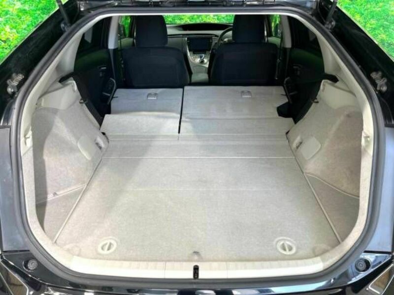 PRIUS-10