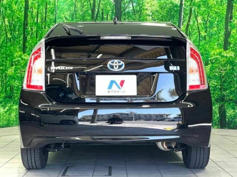 PRIUS-17