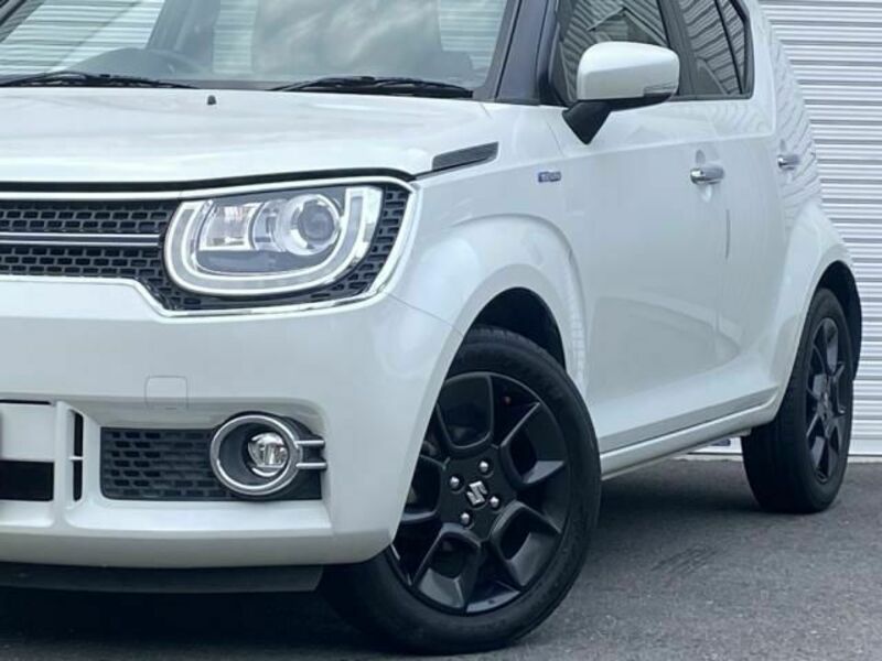 IGNIS