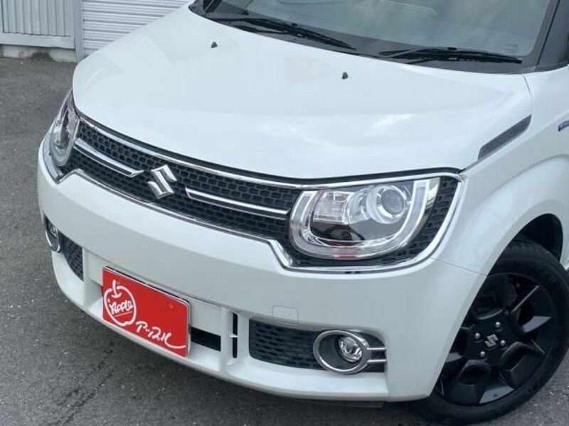 IGNIS