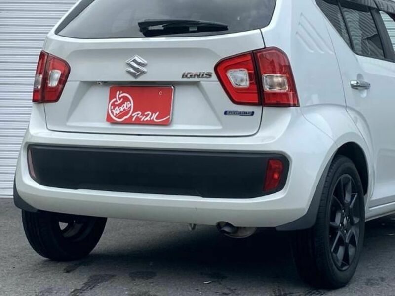 IGNIS