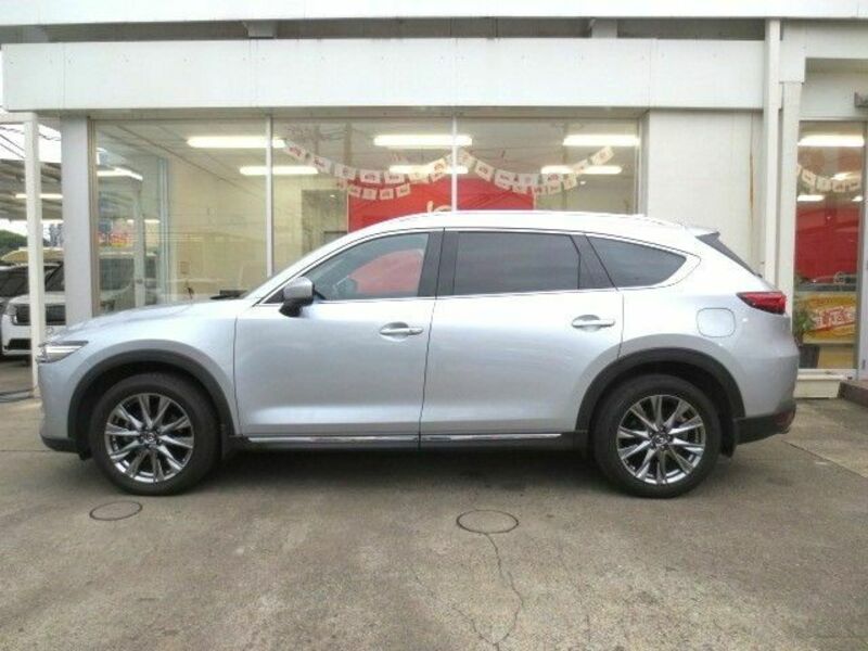 CX-8