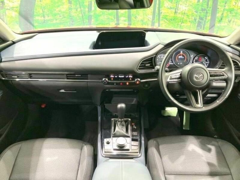 CX-30