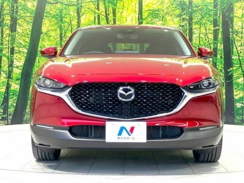 CX-30
