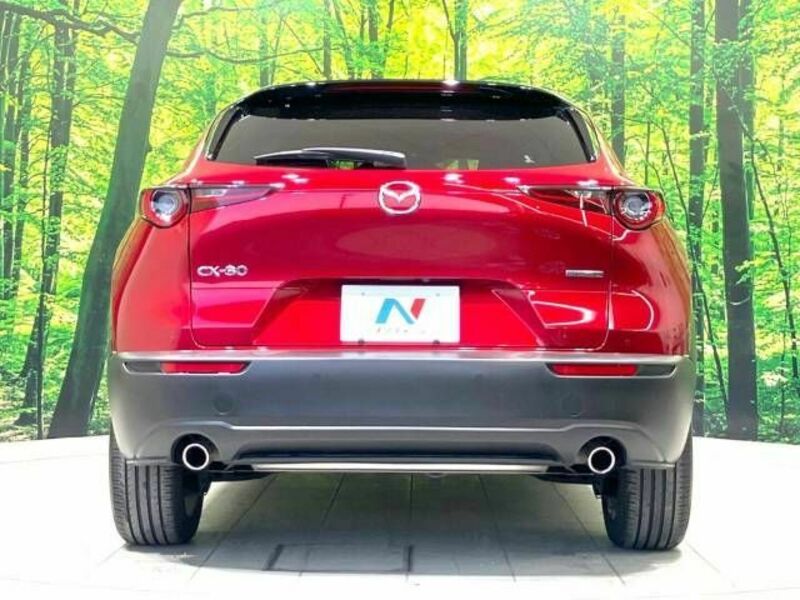 CX-30