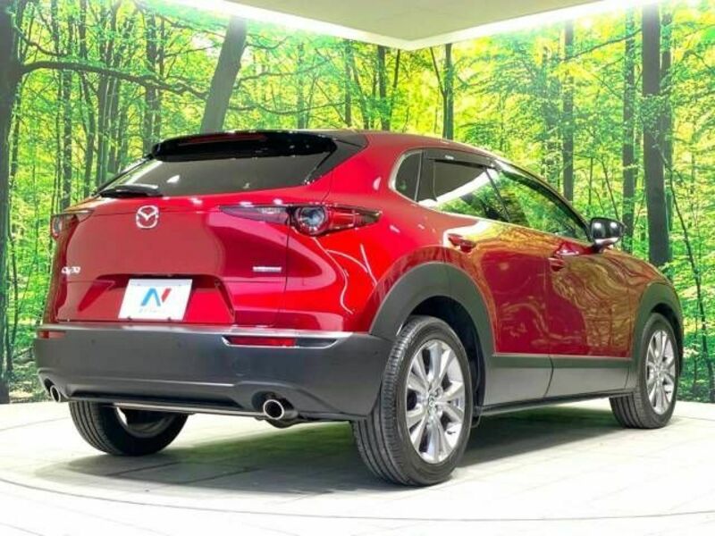CX-30