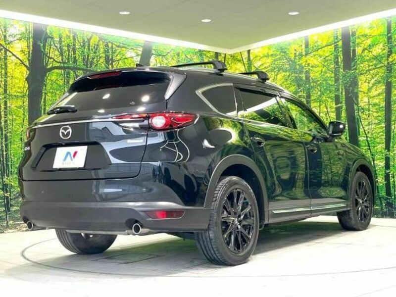 CX-8