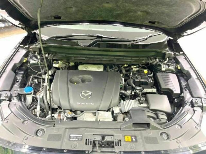 CX-8