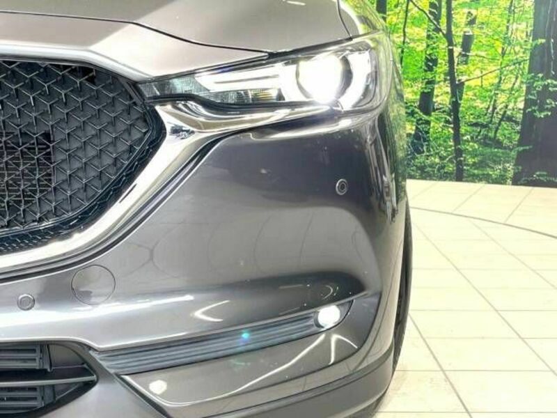 CX-5-11