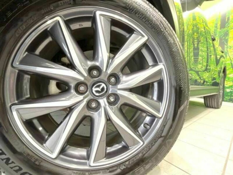 CX-5-12