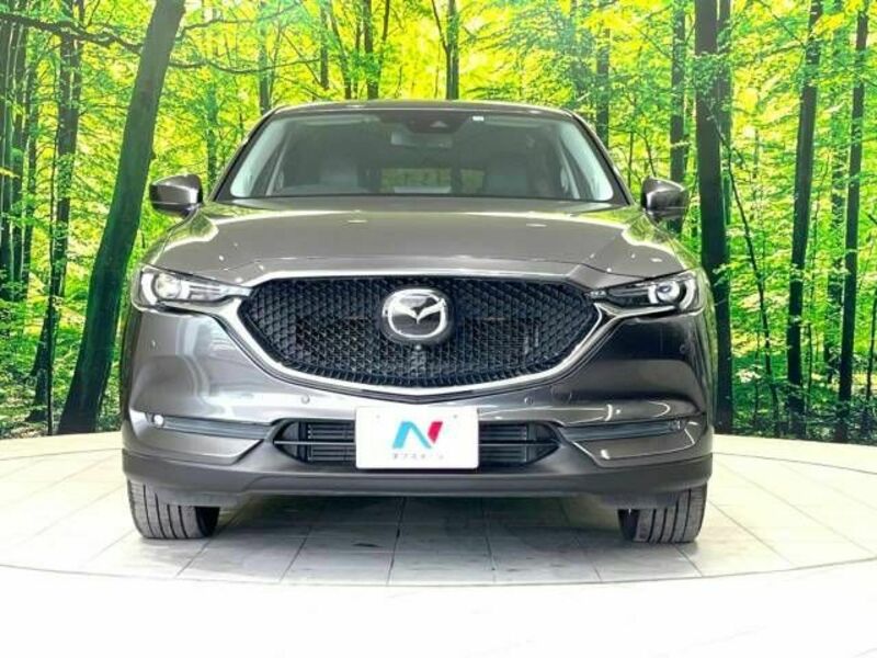 CX-5-13