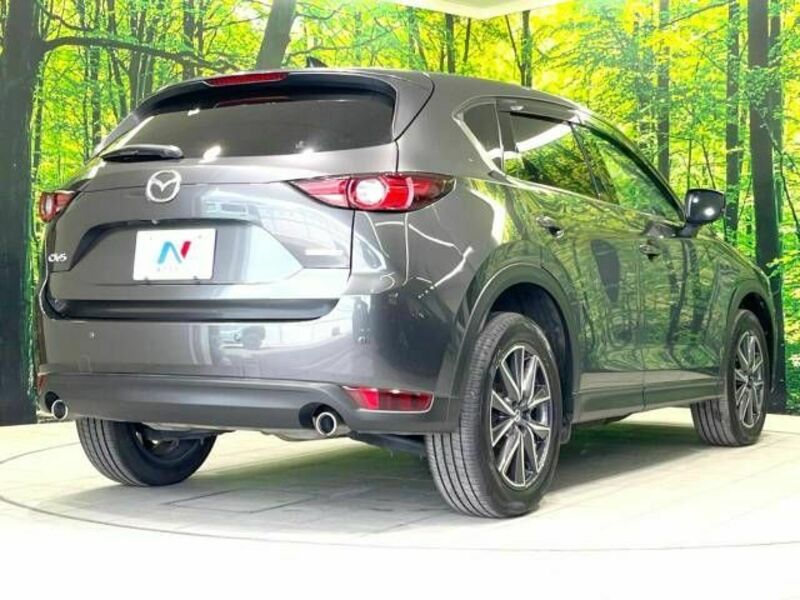 CX-5-16