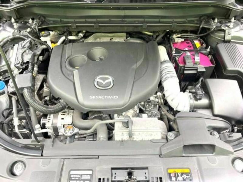 CX-5-17