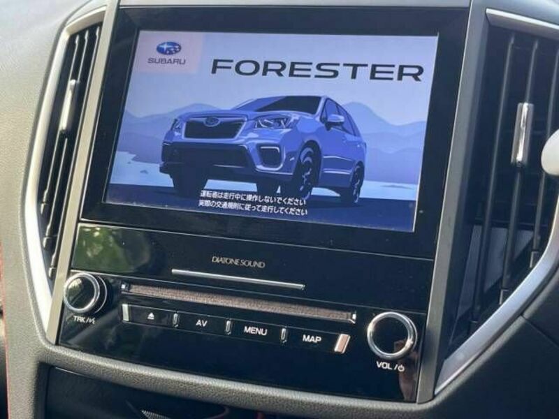 FORESTER-9