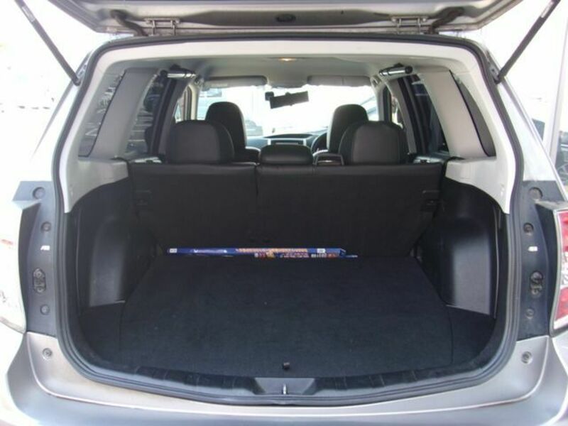 FORESTER-19