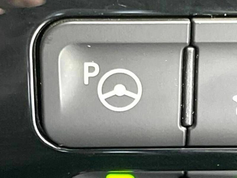 PRIUS-4
