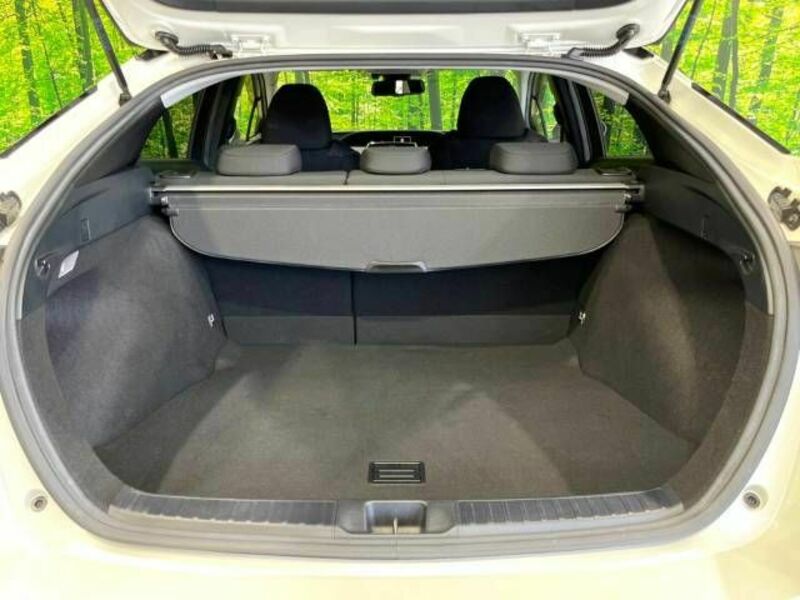 PRIUS-9