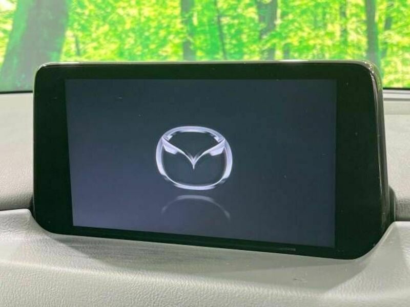 CX-8-2