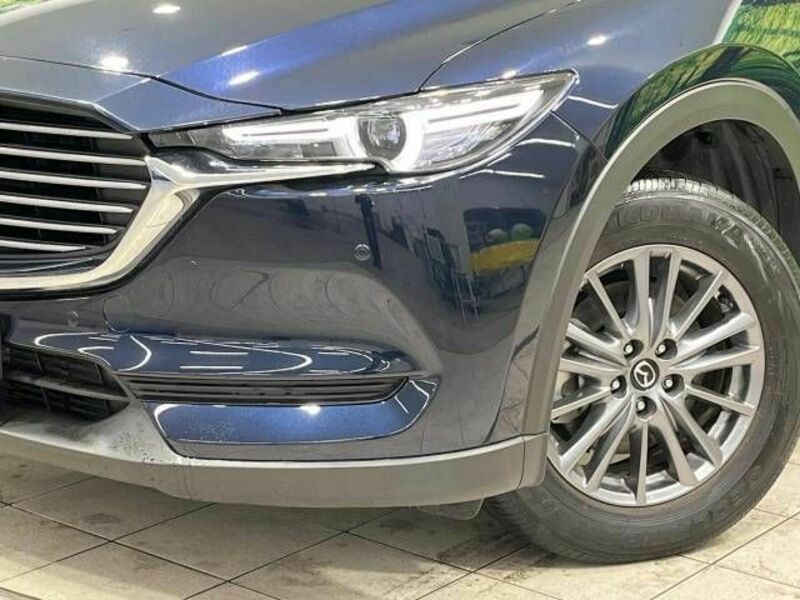 CX-8-13