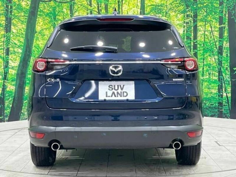 CX-8-16