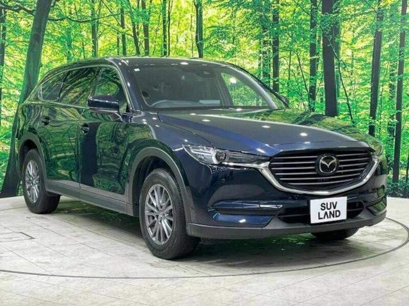 CX-8-17