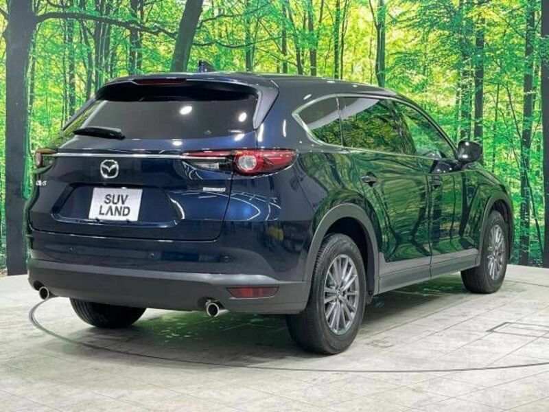 CX-8-18