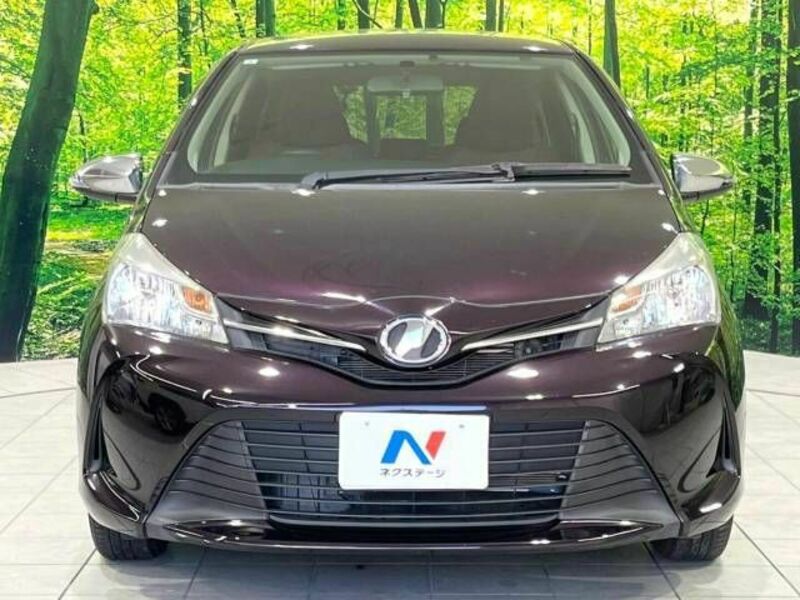 VITZ-13