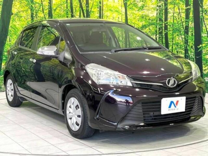 VITZ-15