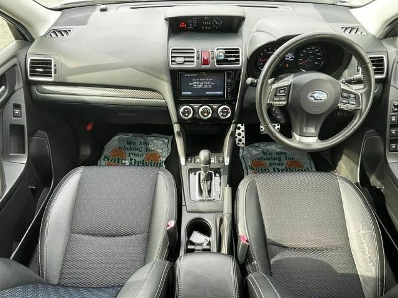 FORESTER-1