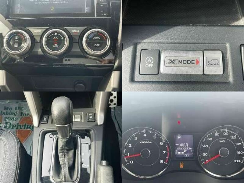FORESTER-8