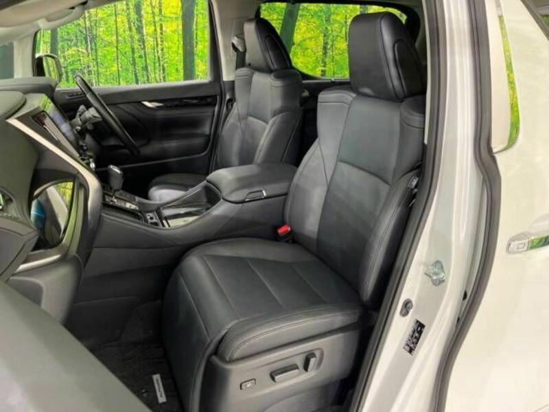 ALPHARD-7