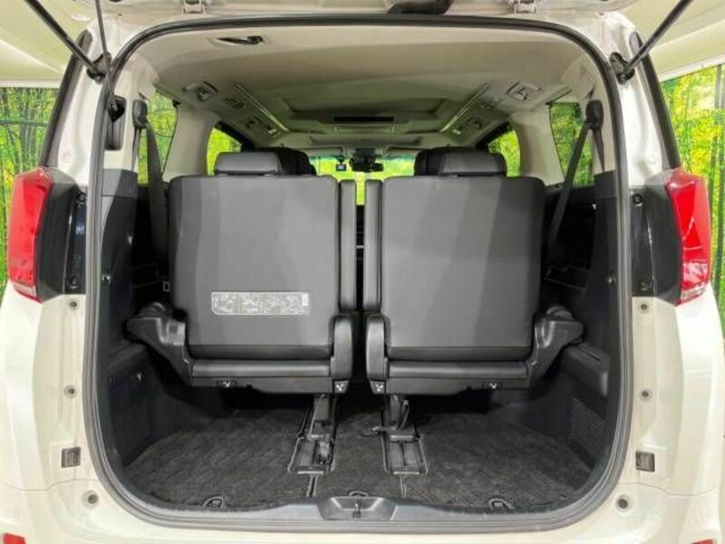 ALPHARD-10