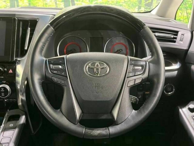 ALPHARD-11