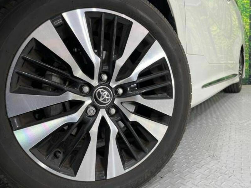 ALPHARD-13