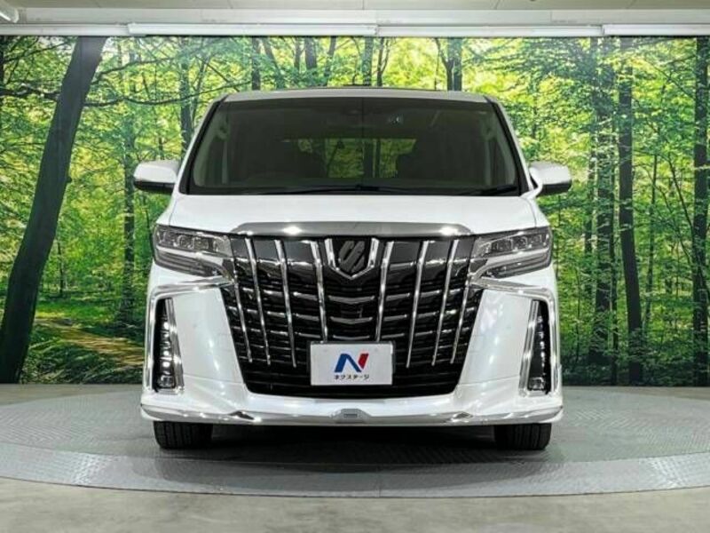 ALPHARD-14