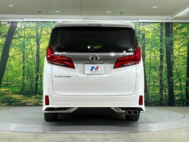 ALPHARD-15