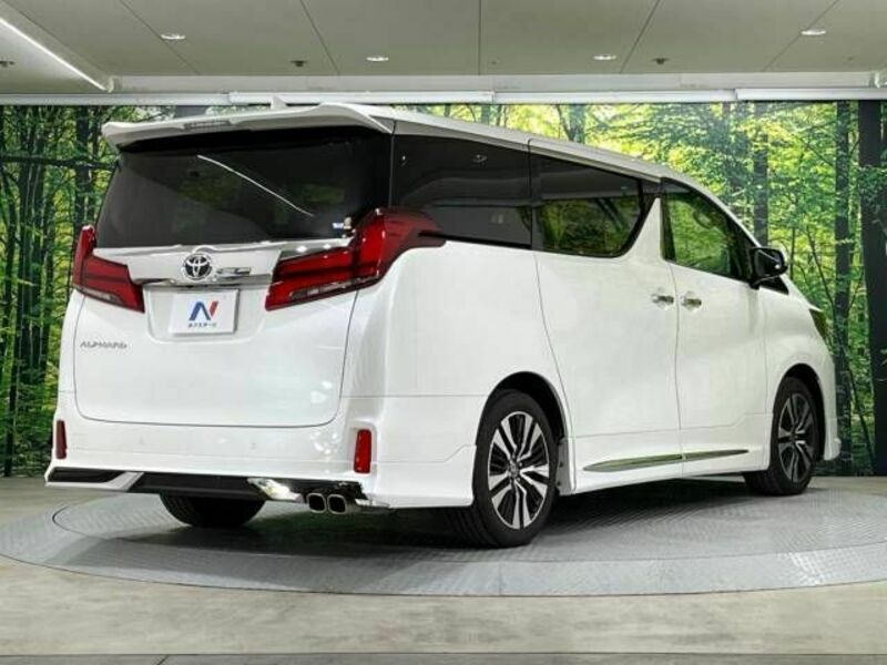 ALPHARD-17