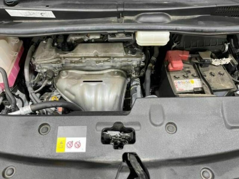 ALPHARD-19