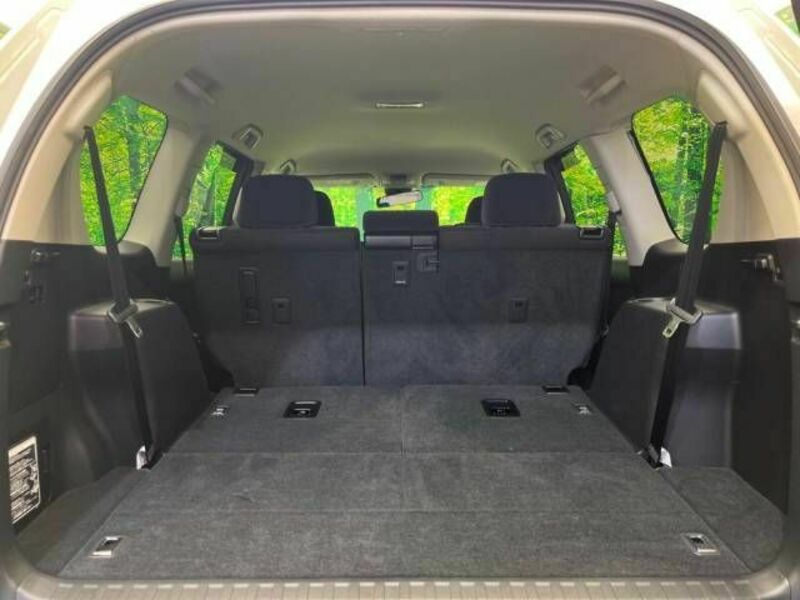 LAND CRUISER PRADO-10