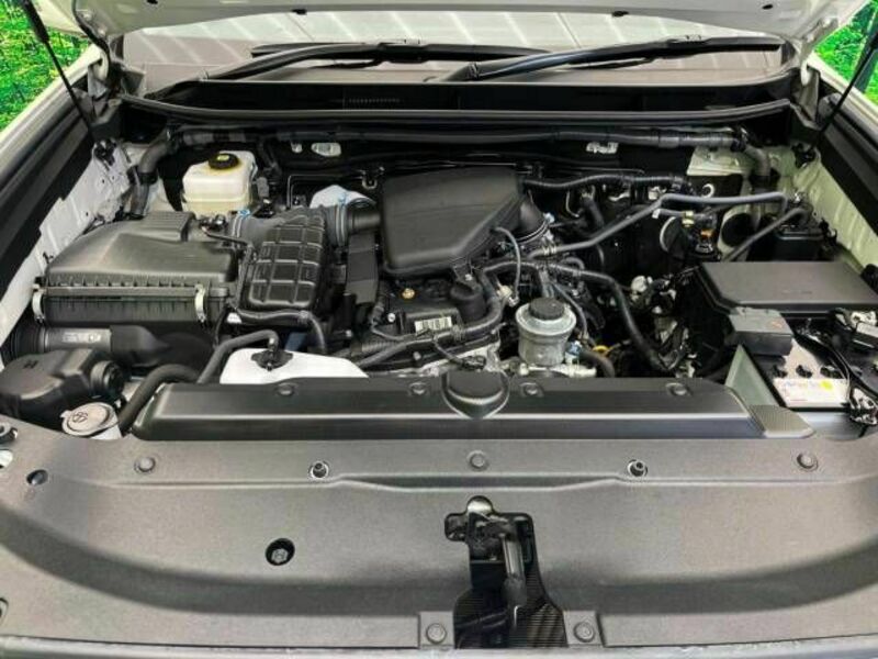 LAND CRUISER PRADO-18