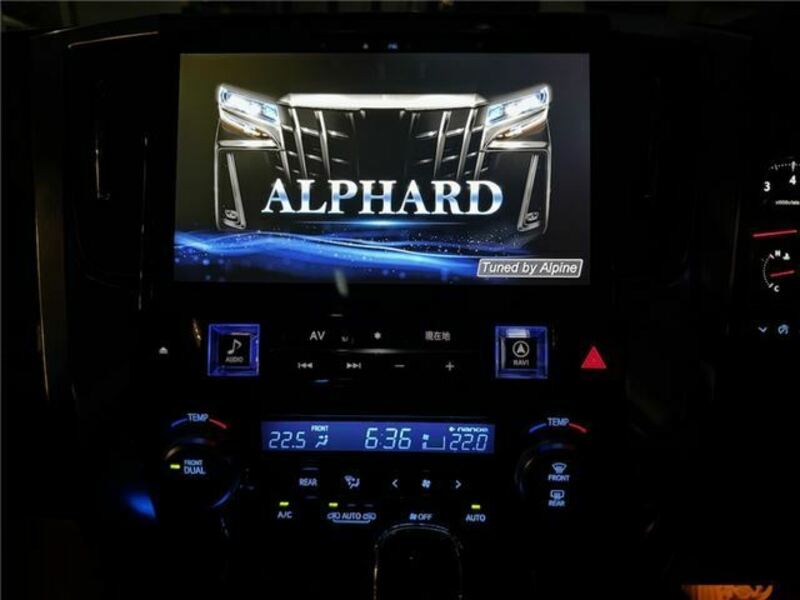ALPHARD-10