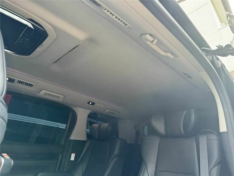 ALPHARD-19